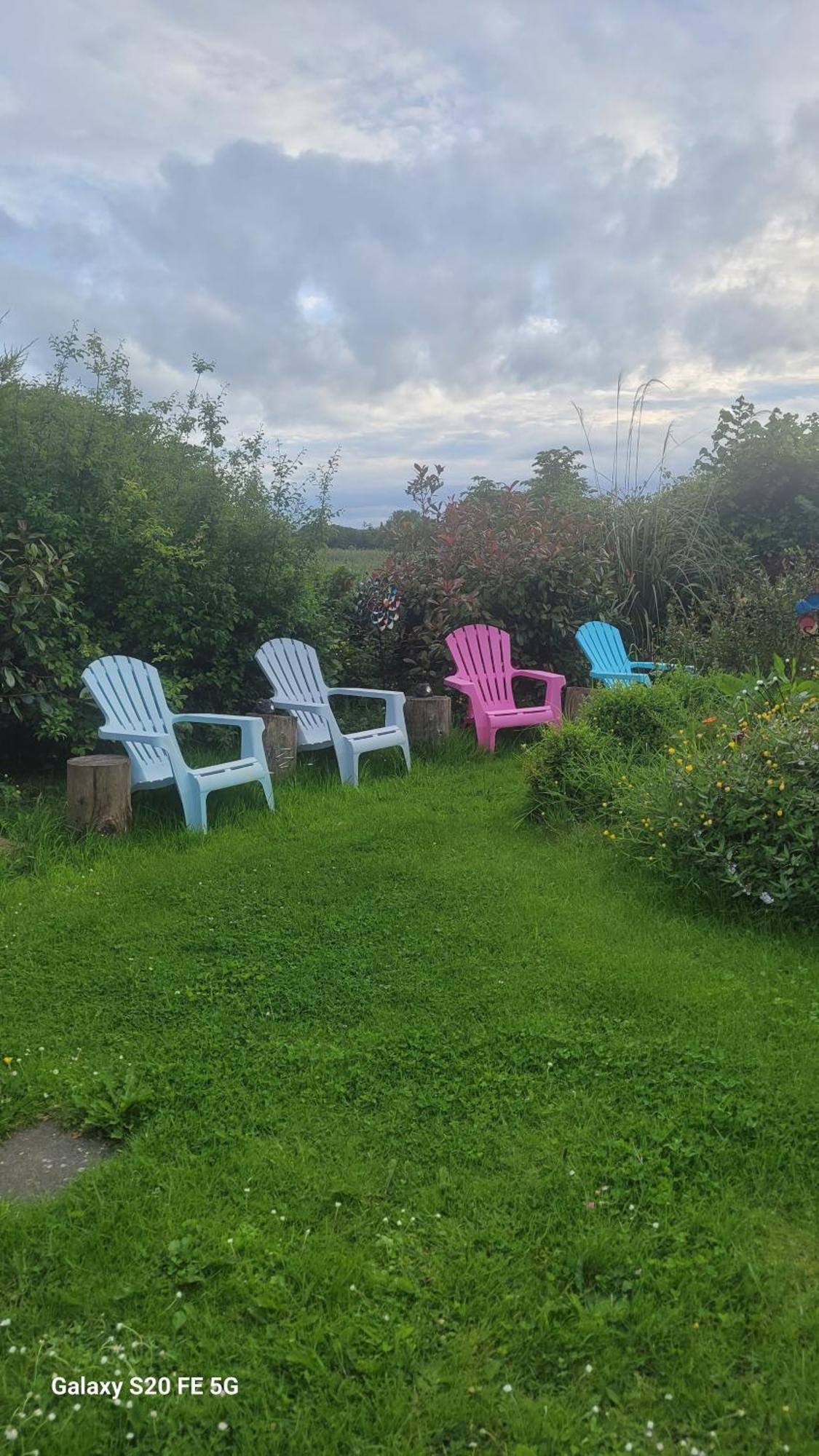 Salmon Island View Apartment Dromineer Luaran gambar